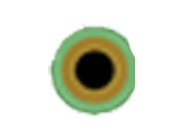 circut